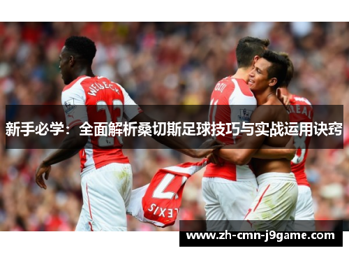 新手必学：全面解析桑切斯足球技巧与实战运用诀窍