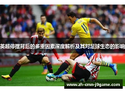 英超停摆背后的多重因素深度解析及其对足球生态的影响