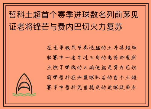 哲科土超首个赛季进球数名列前茅见证老将锋芒与费内巴切火力复苏 哲科土超首个赛季进球数名列前茅见证老将锋芒与费内巴切火力复苏